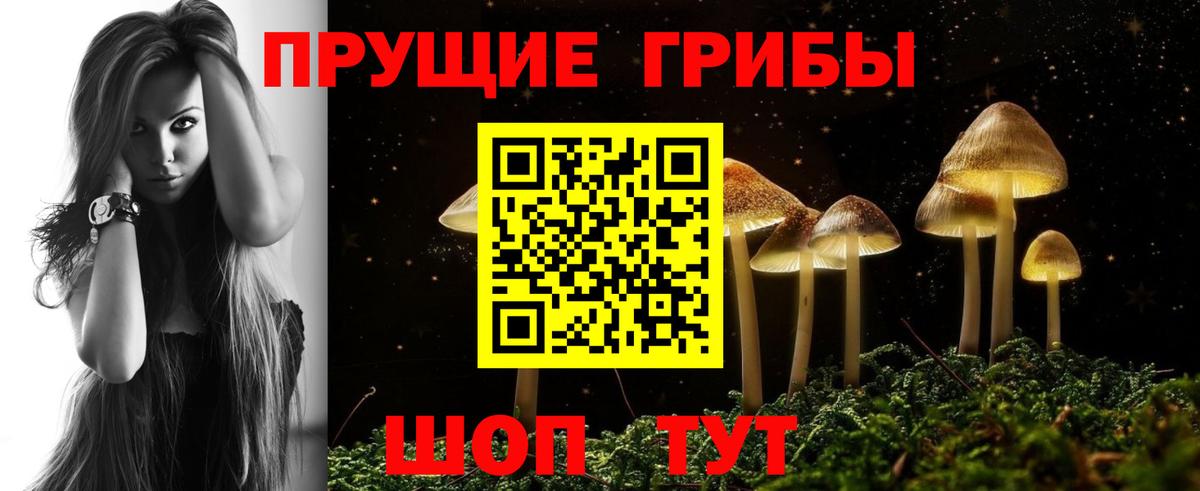 где продают   Вход с VPN  Углич  Галлюциногенные грибы мухоморы 